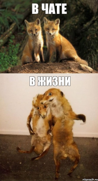 в чате в жизни