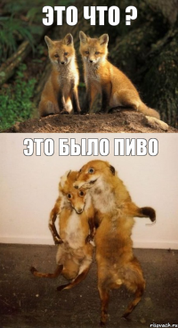Это что ? Это было ПИВО