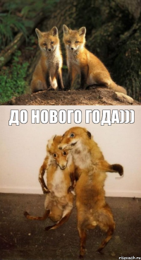  до нового года)))
