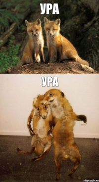 ура ура