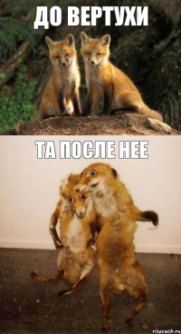 до вертухи та после нее