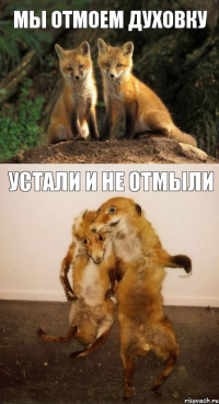 мы отмоем духовку устали и не отмыли