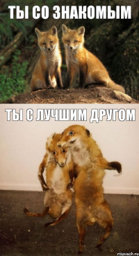 Ты со знакомым Ты с лучшим другом