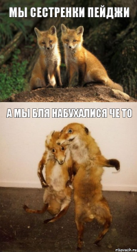 мы сестренки Пейджи а мы бля набухалися че то