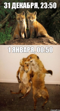 31 декабря, 23:50 1 января, 00:50