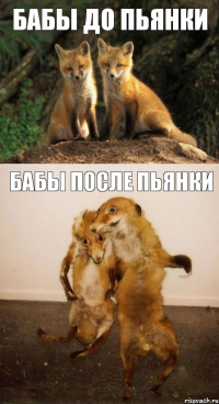 бабы до пьянки бабы после пьянки