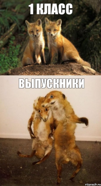 1 Класс Выпускники