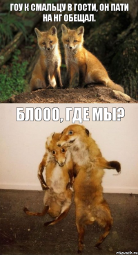 Гоу к Смальцу в гости, он пати на НГ обещал. блооо, где мы?