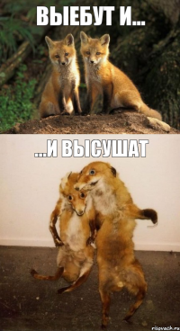 ВЫЕБУТ И... ...И ВЫСУШАТ
