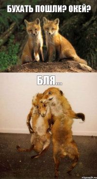 бухать пошли? Окей? бля...