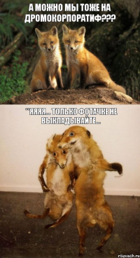 А МОЖНО МЫ ТОЖЕ НА ДРОМОКОРПОРАТИФ??? **ЯЯЯЯ... ТОЛЬКО ФОТАЧКЕ НЕ ВЫКЛАДЫВАЙТЕ...