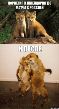 НОРВЕГИЯ И ШВЕЙЦАРИЯ ДО МАТЧА С РОССИЕЙ И ПОСЛЕ
