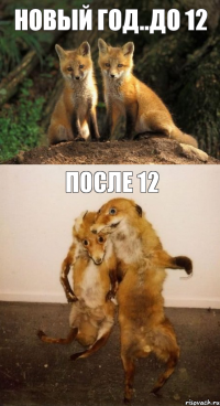 НОВЫЙ ГОД..ДО 12 ПОСЛЕ 12