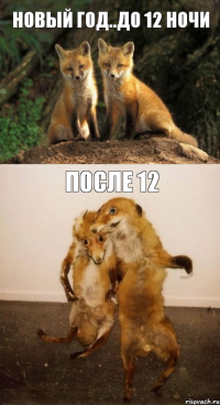 НОВЫЙ ГОД..ДО 12 НОЧИ ПОСЛЕ 12