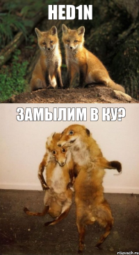 hed1n замылим в ку?