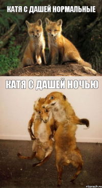 катя с Дашей нормальные катя с дашей ночью