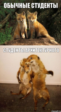 обычные студенты студенты архитектурного