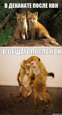 в деканате после квн в общаге после квн
