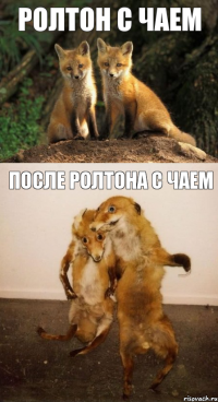 ролтон с чаем после ролтона с чаем