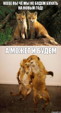 Нееее вы чё мы не будем бухать на Новый год! А может и будем