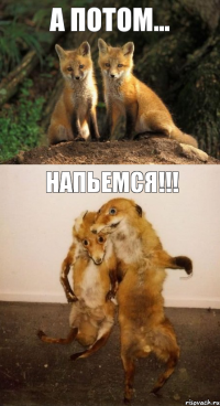 А потом... Напьемся!!!