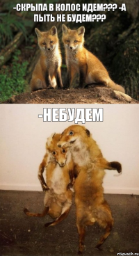 -Скрыпа в колос идем??? -А пыть не будем??? -небудем