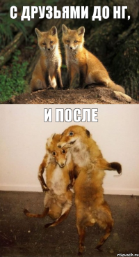 С ДРУЗЬЯМИ ДО НГ, И ПОСЛЕ