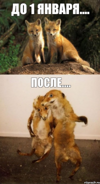 до 1 января.... после....