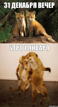 31 декабря вечер утро 1 января