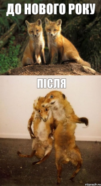 До нового року Після