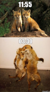 11:55 03:30