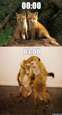 00:00 03:00