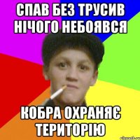 спав без трусив нічого небоявся кобра охраняє територію