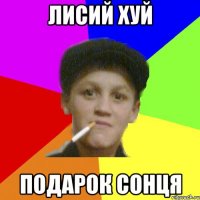 лисий хуй подарок сонця