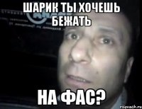 шарик ты хочешь бежать на фас?