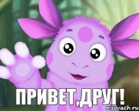 Привет,друг!