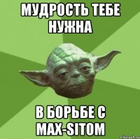 Мудрость тебе нужна в борьбе с max-sitом