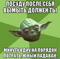 посуду после себя вымыть должен ты минуту одну на порядок потрать, юный падаван.