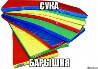 сука барышня