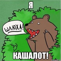 Я кашалот!