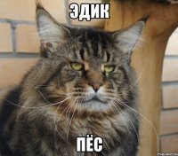 ЭДИК ПЁС