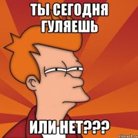 ты сегодня гуляешь или нет???