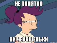 не понятно ни чевошеньки