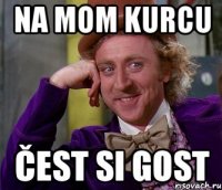 na mom kurcu čest si gost