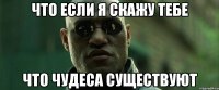 что если я скажу тебе что чудеса существуют