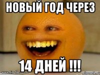 Новый год через 14 дней !!!