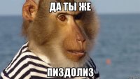 да ты же пиздолиз