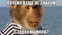 почему я ещё не знаком с твоей мамкой?