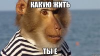 какую жить ты е