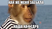 как же меня заебала наша кафедра